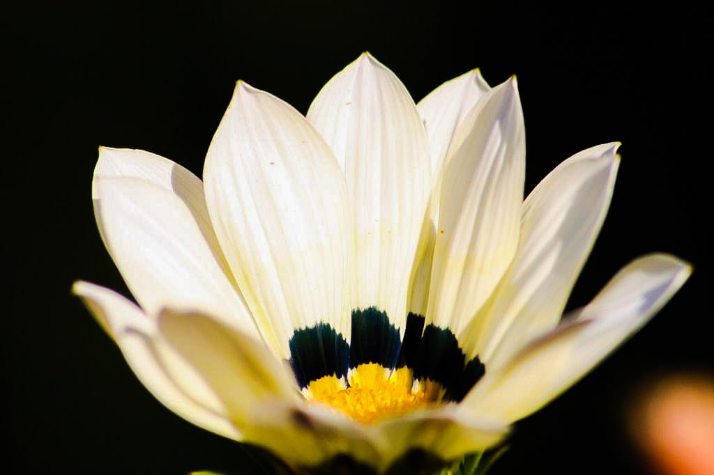 WhatsApp Image 2021-07-30 at 18.46.57